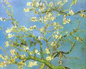 Blossomong Almond Tree